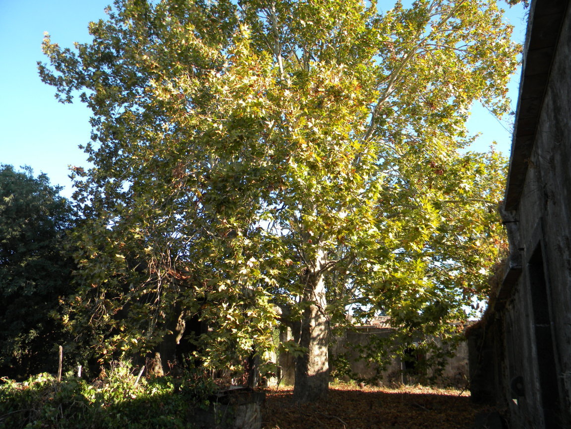 DSCN8025 .JPG